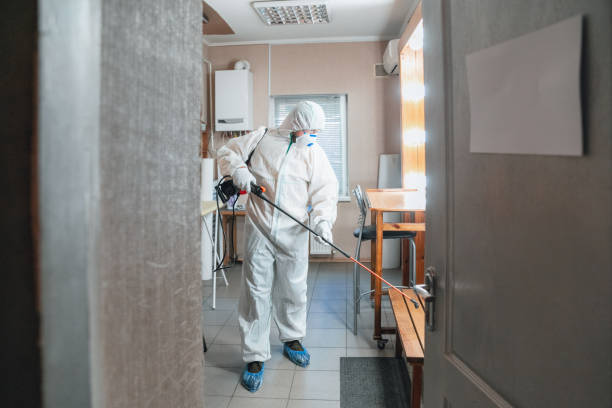 Best Industrial Mold Remediation  in Cocoa, FL