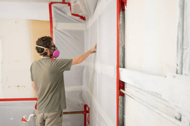 Best Residential Mold Inspection & Testing  in Cocoa, FL